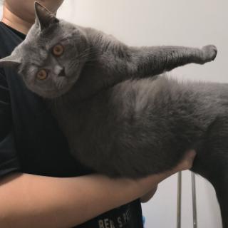 刘亚