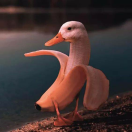 大王快来嗨