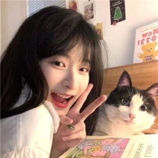 猫了个咪