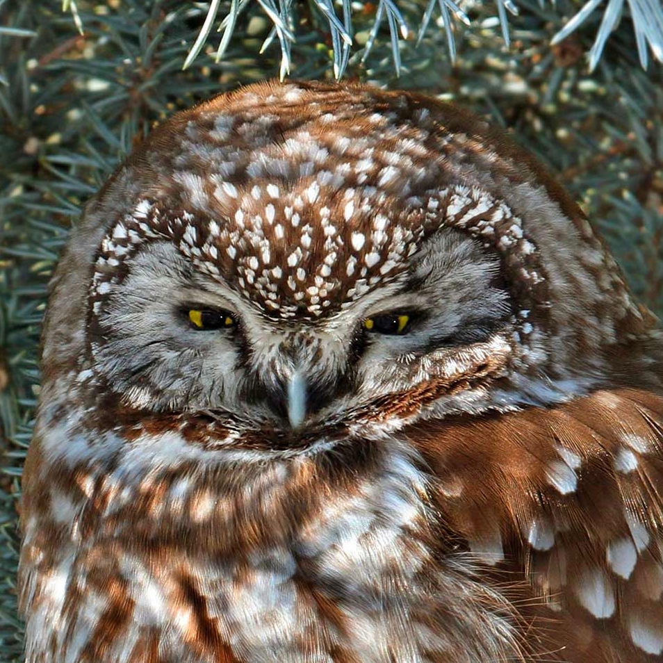 缓一缓再缓一下