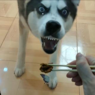 小筑流年