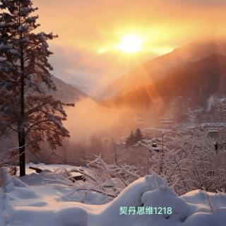 已重置