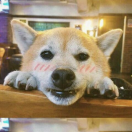 悠闲自得