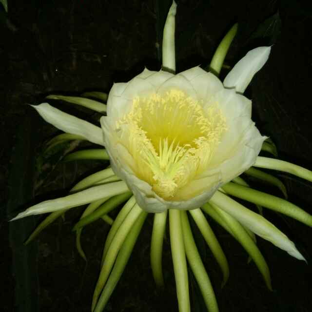 奋斗吧