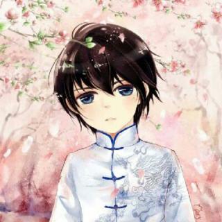 桦木