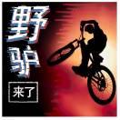 轮