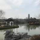陆婷