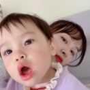 妞妞柳