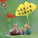 矮求