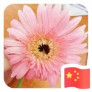 王国鹏
