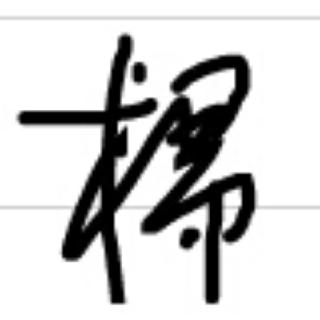 杨晓