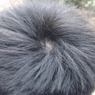 请叫我懵仔