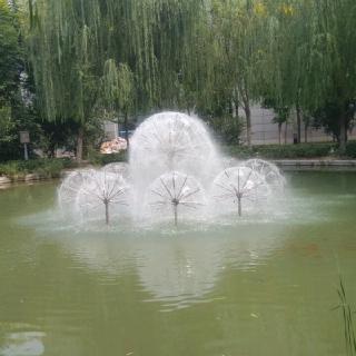 曹亚鹏