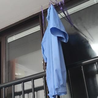 呦呦鹿鸣