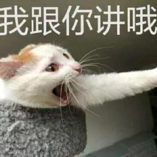 已重置