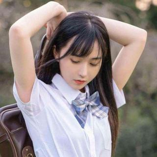 芦花飞