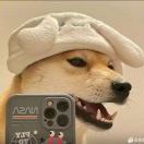 不瘦十斤不改名！