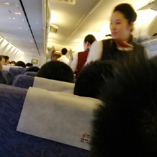 天天