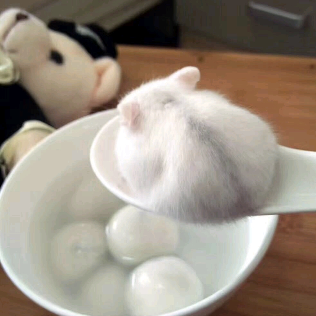 上蝎