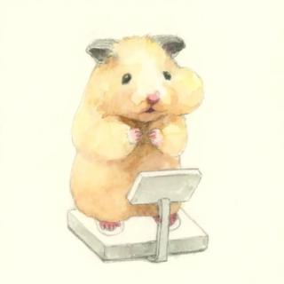 前程似锦