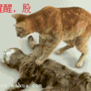 已重置