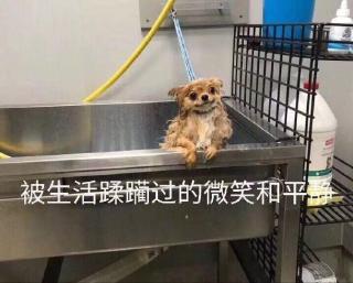 快给我辣条