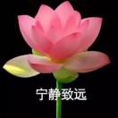 鸿