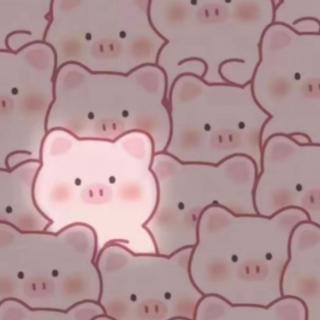 小圈儿