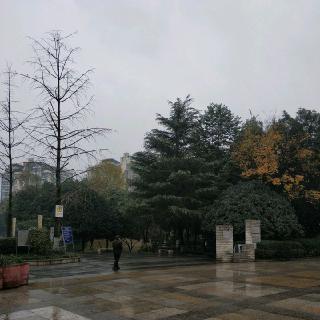 sunny_dan