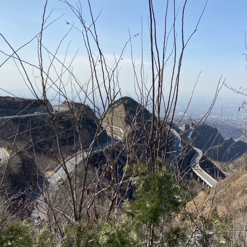 草长莺飞