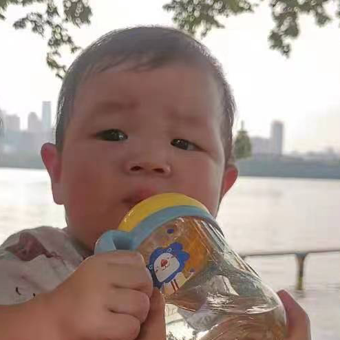 广东王菠萝