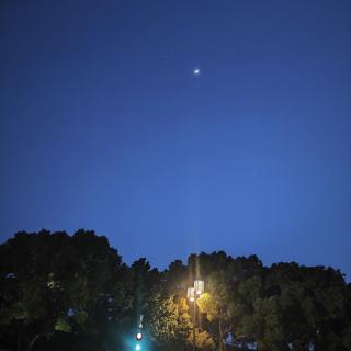 蚍蜉蚂骑士