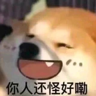 白米饭和小番茄