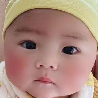 李晨光