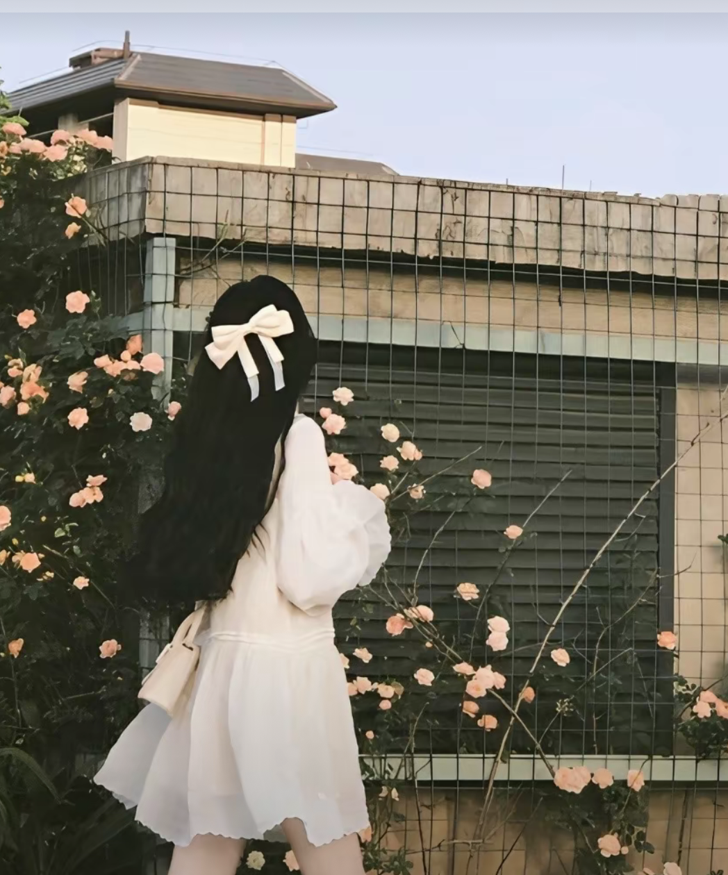 🌷^ 玖辭 ^🌷👻