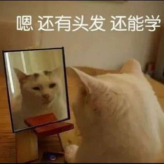 小格er