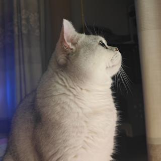 ʚNickɞ