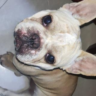 A.汤汤熊