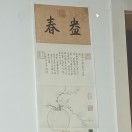 小八一