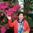 金玉芝