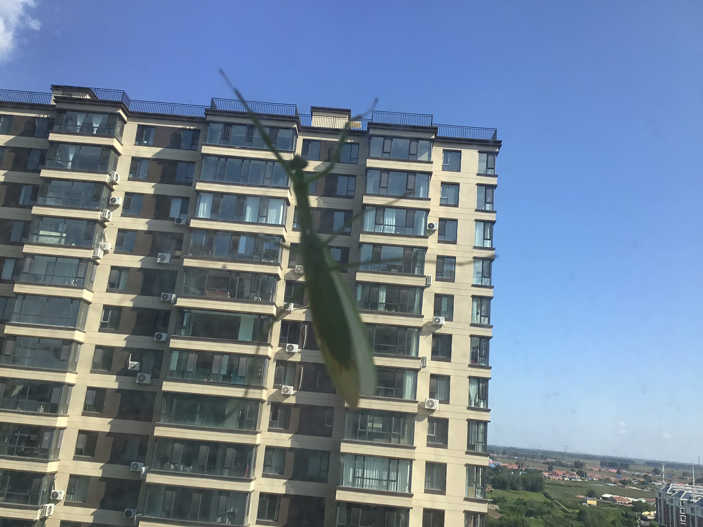 植物大战僵尸最后一波