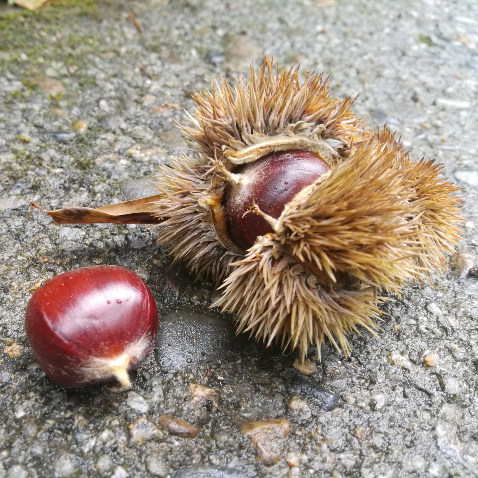 已重置