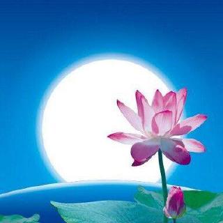 不惑