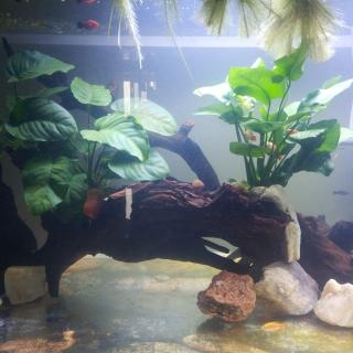 晋源泉