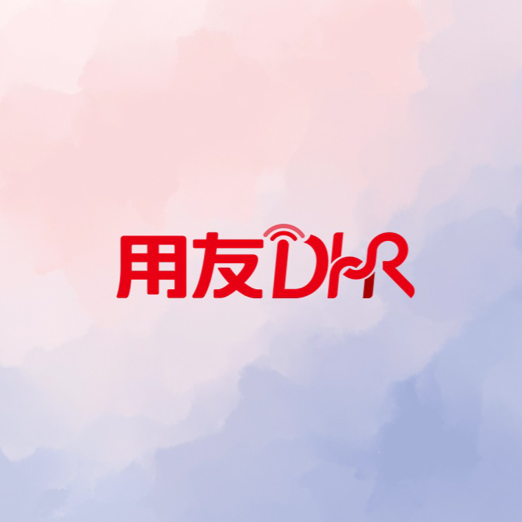 用友DHR