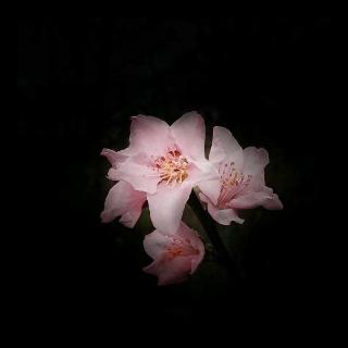 听着摇滚打太极