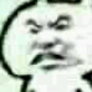 1136399566