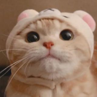 没有誰，只有你