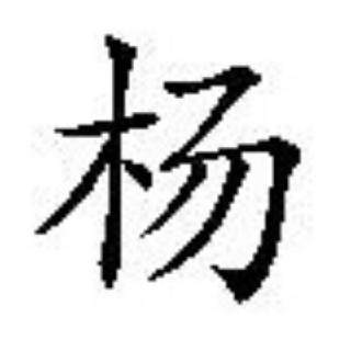 杨是的没错。