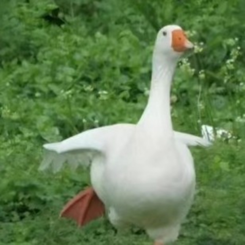 枯木逢春☆你逢我